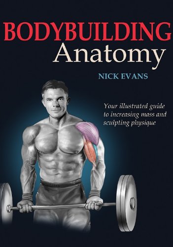 Bodybuilding Anatomy: Your Illustrated Guide to Increasing Mass and Sculpting Physique Leisure & Fun