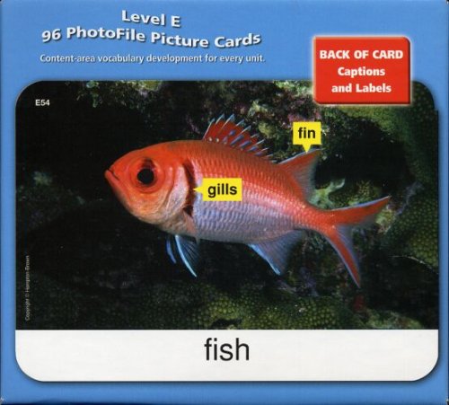 Avenues E: Photofile Picture Cards Foreign Languages ​​& Dictionaries