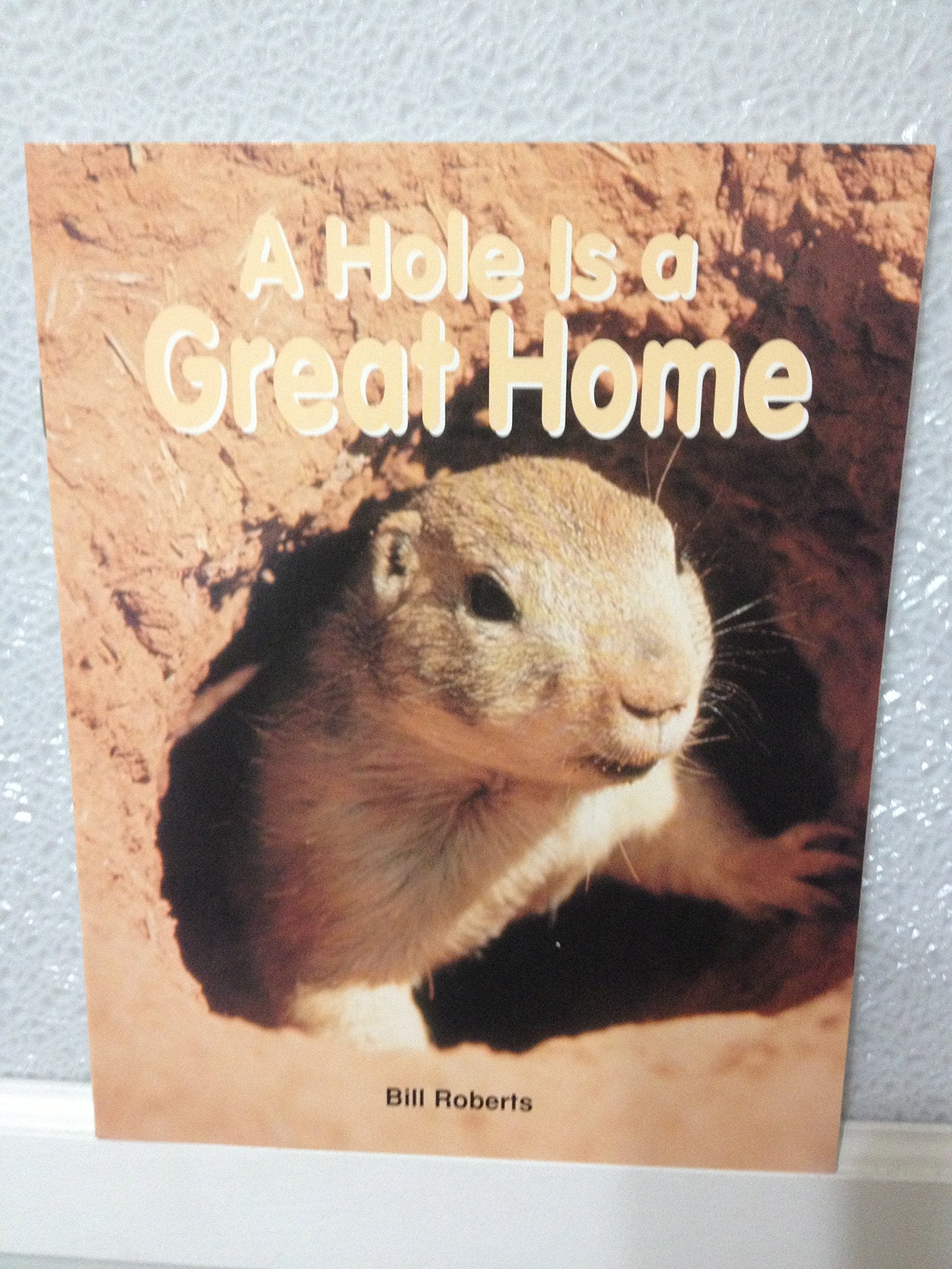 Avenues C Leveled Books: A Hole Is a Great Home Foreign Languages ​​& Dictionaries