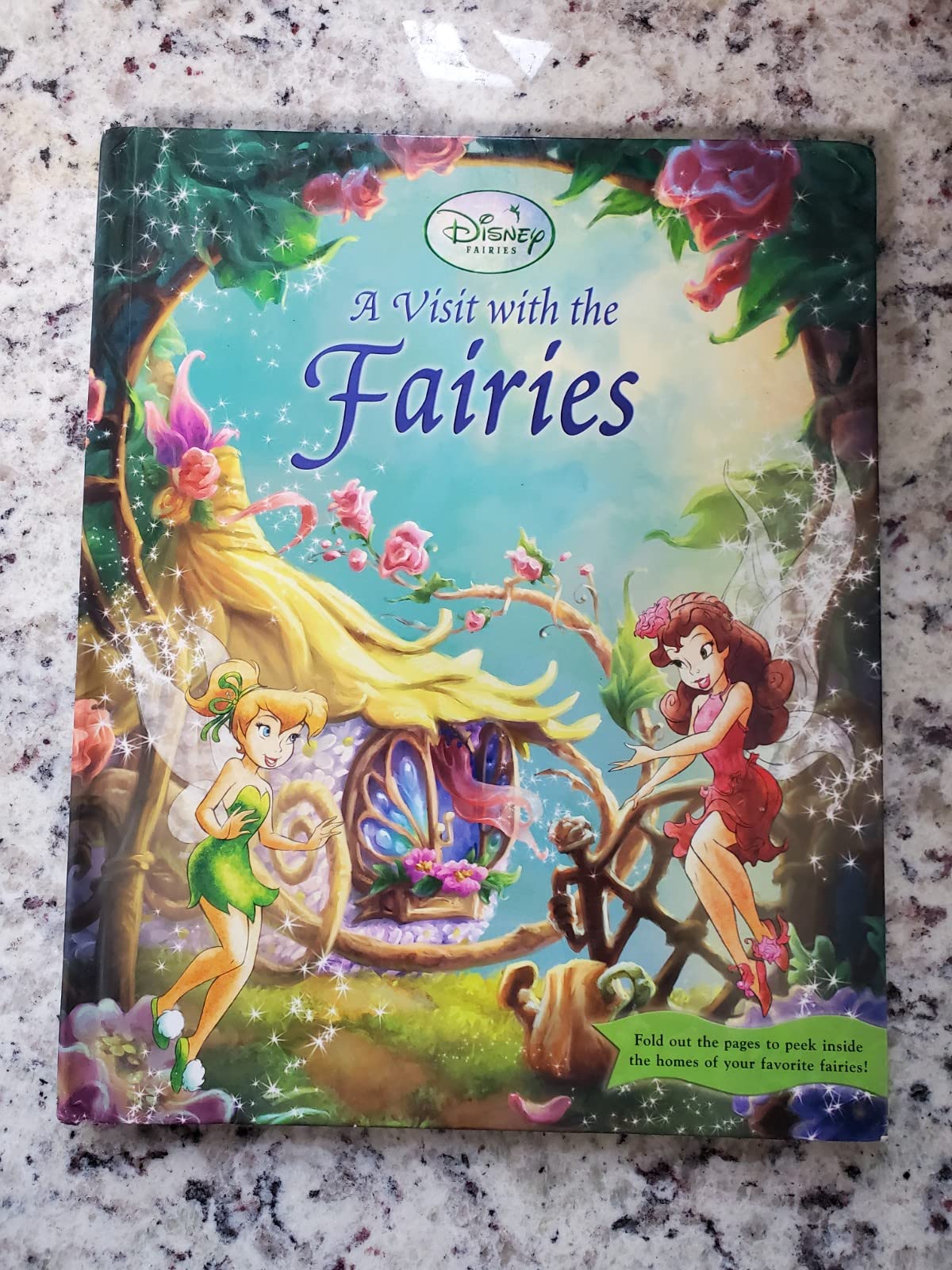 Disney Fairies, A Visit With the Fairies book