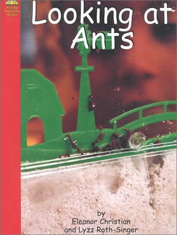 Looking at Ants (Yellow Umbrella Books) Non-fiction