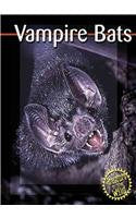 Vampire Bats (Predators in the Wild) Non-fiction