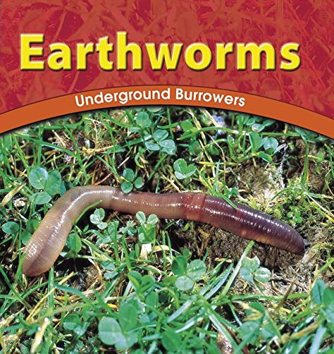 Earthworms: Underground Burrowers (Wild World of Animals) Non-fiction