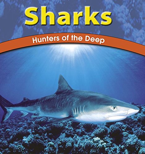 Sharks: Hunters of the Deep (Wild World of Animals) Non-fiction