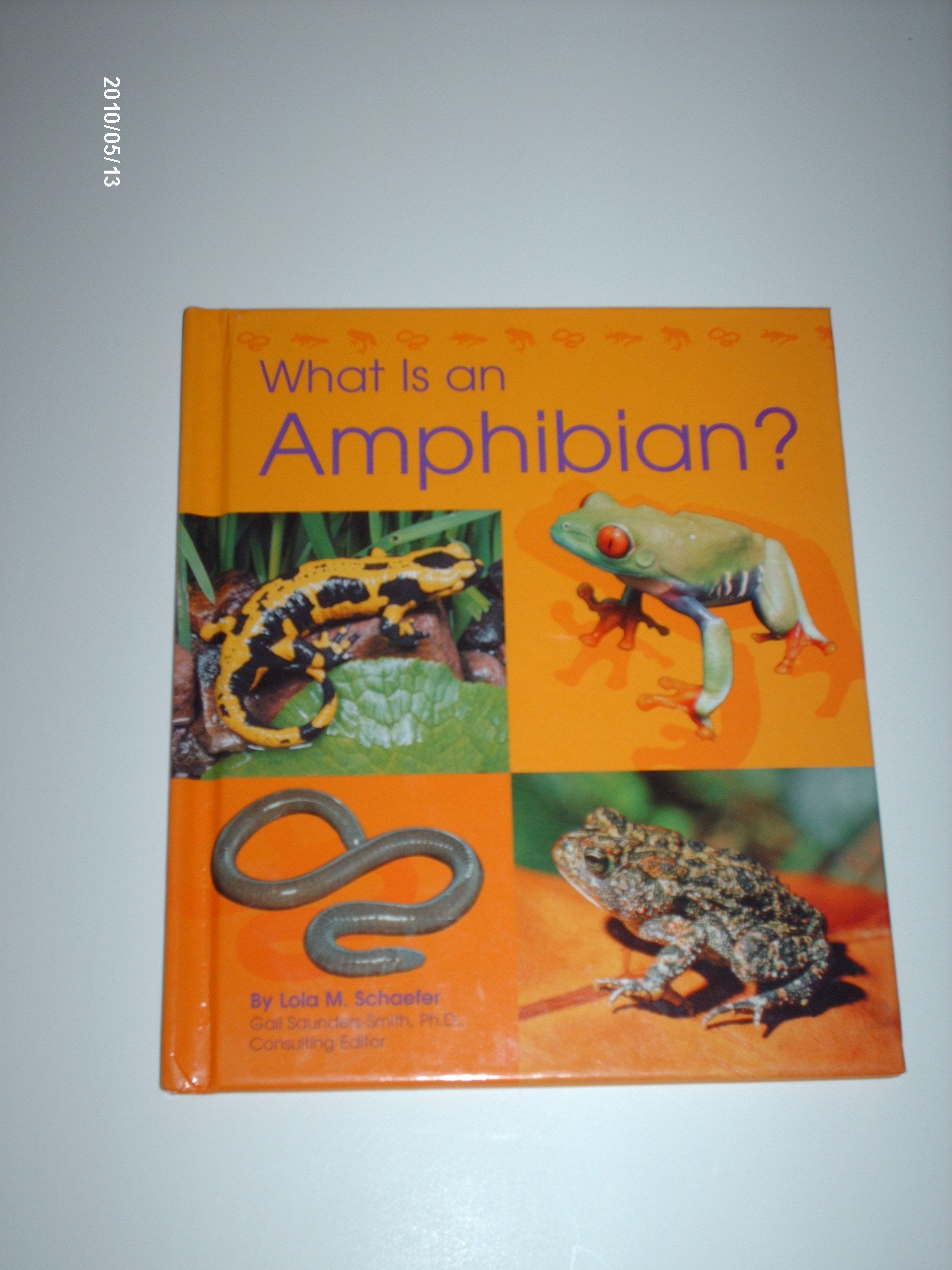 What Is an Amphibian? (Pebble Books) Non-fiction