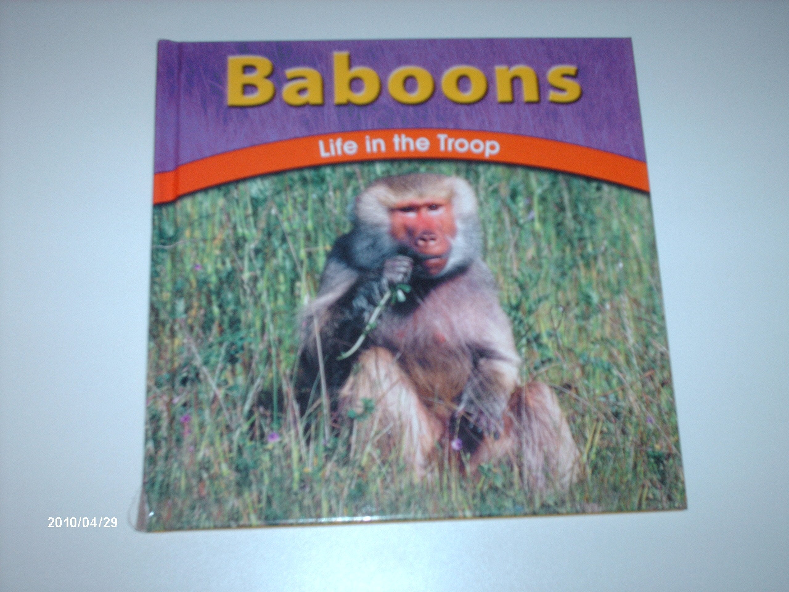Baboons: Life in the Troop (Wild World of Animals) Non-fiction