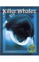 Killer Whales (Predators in the Wild) Non-fiction