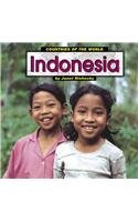 Indonesia (Countries of the World) Film, Art & Culture