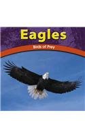 Eagles: Birds of Prey (Wild World of Animals) Non-fiction