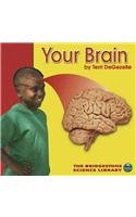 Your Brain (Bridgestone Science Library: Your Body) Non-fiction