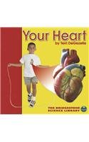 Your Heart (Bridgestone Science Library: Your Body) Non-fiction