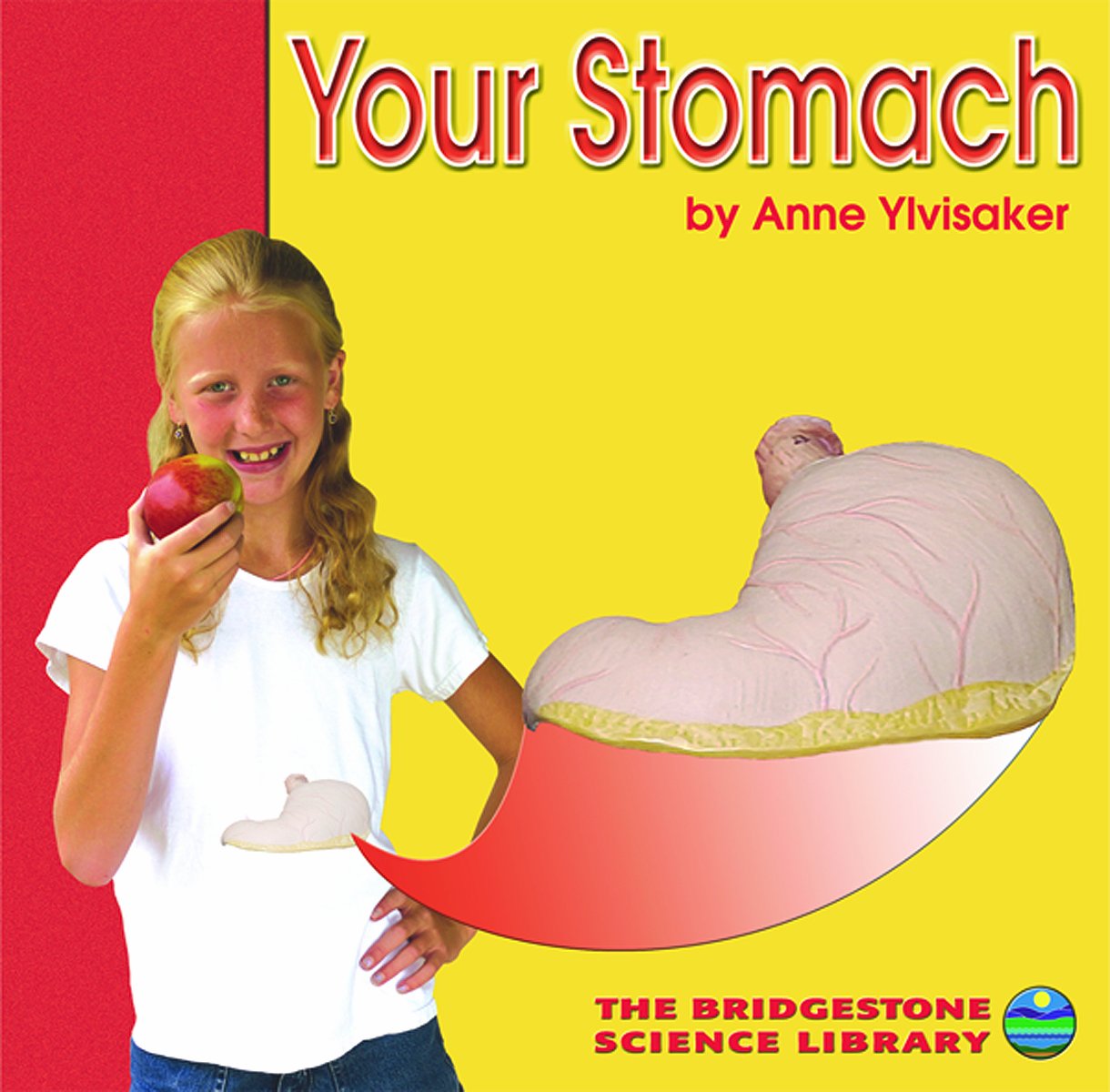 Your Stomach (Bridgestone Science Library: Your Body) Non-fiction