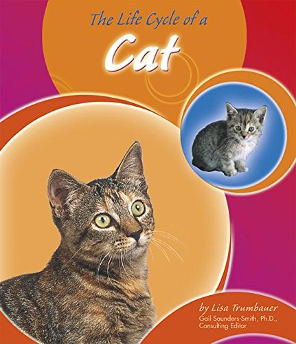 The Life Cycle of a Cat (Life Cycles) Non-fiction
