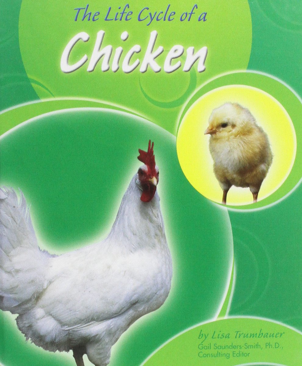 The Life Cycle of a Chicken (Life Cycles) Non-fiction