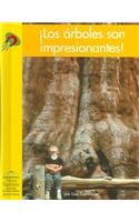 Los Arboles Son Impresionantes! (Yellow Umbrella Books) Non-fiction