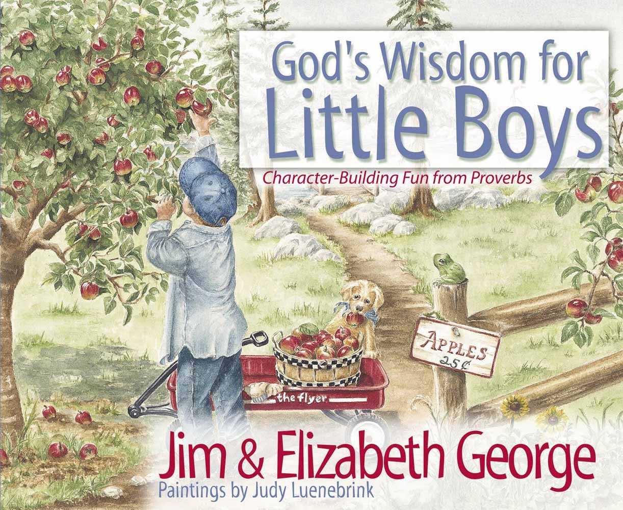 God's Wisdom for Little Boys Study Guides