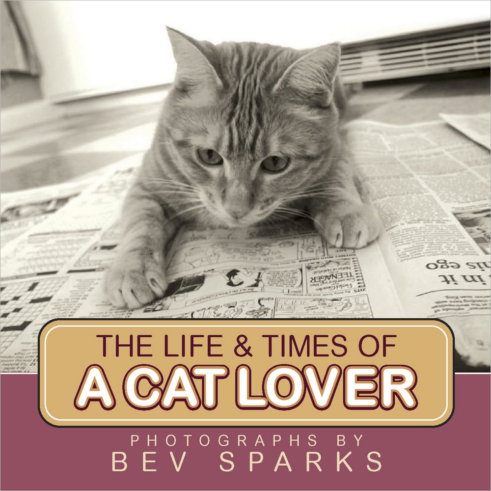 The Life & Times of a Cat Lover Nature & Animals