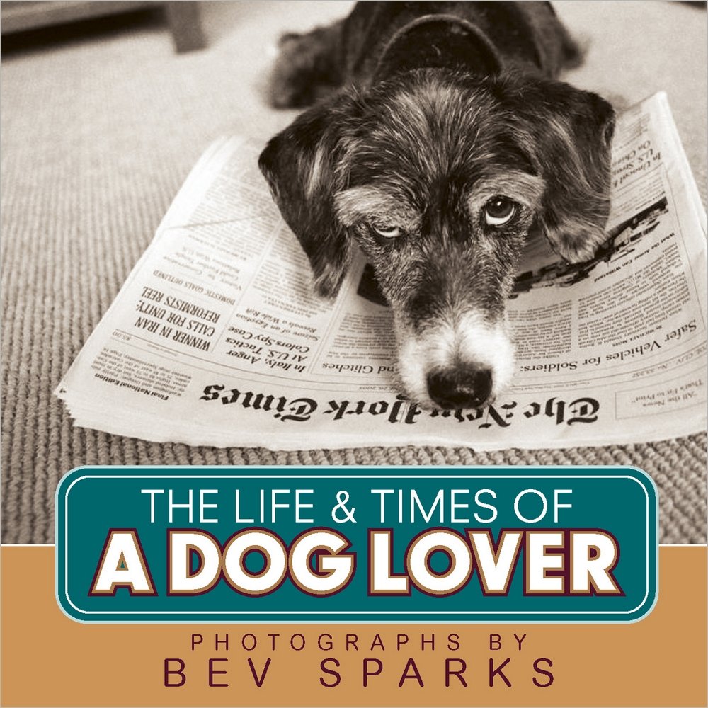 The Life & Times of a Dog Lover Nature & Animals