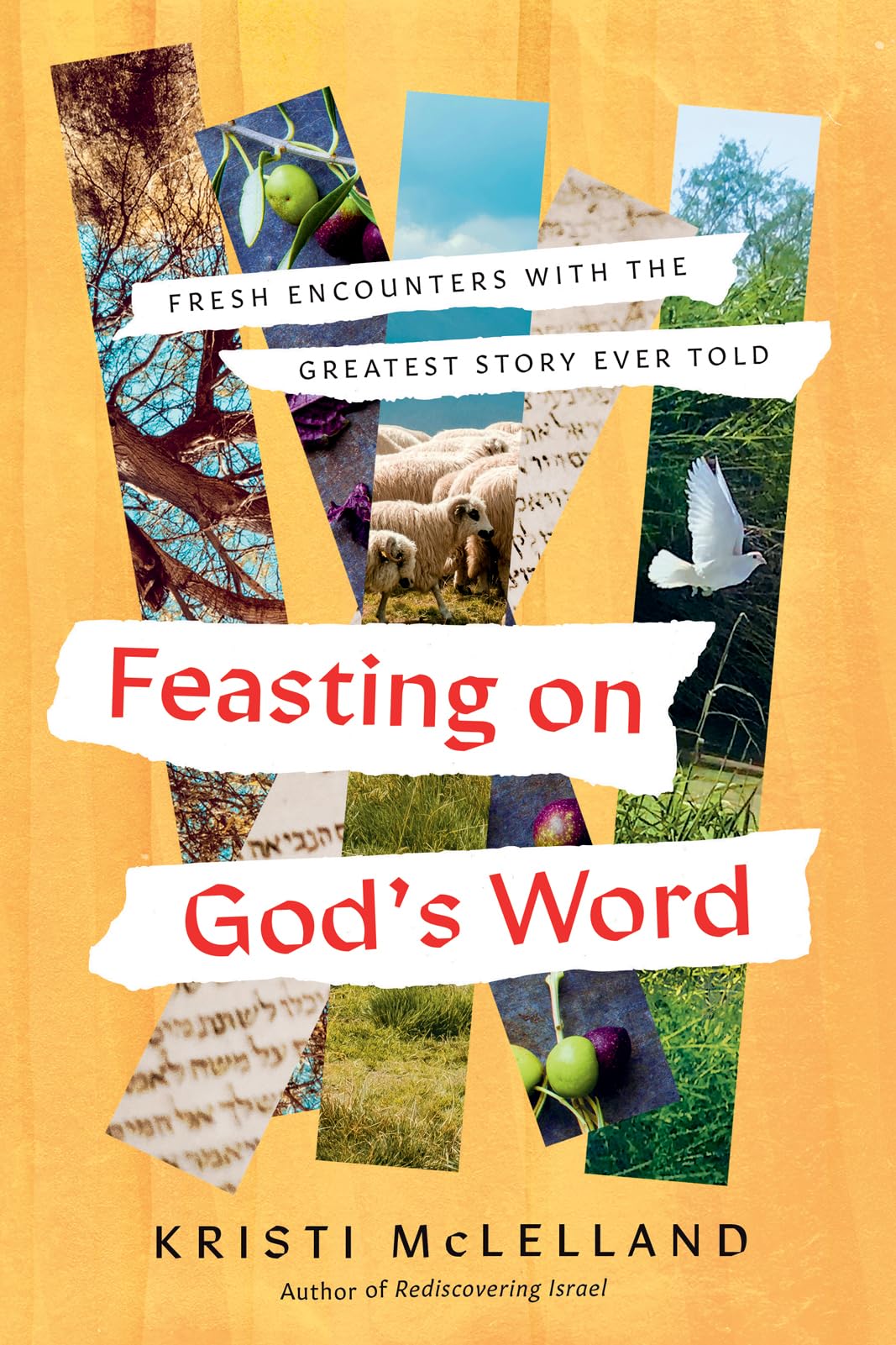 Feasting on God's Word: Fresh Encounters with the Greatest Story Ever Told Religion & Esotericism