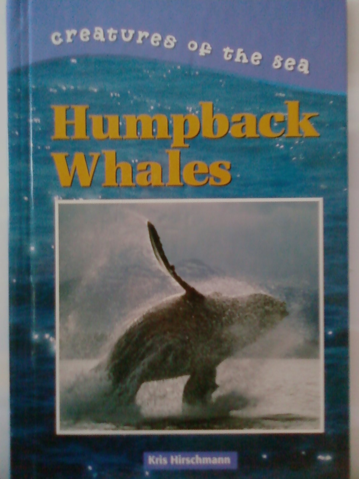 Humpback Whales (Creatures of the Sea) Mathematics