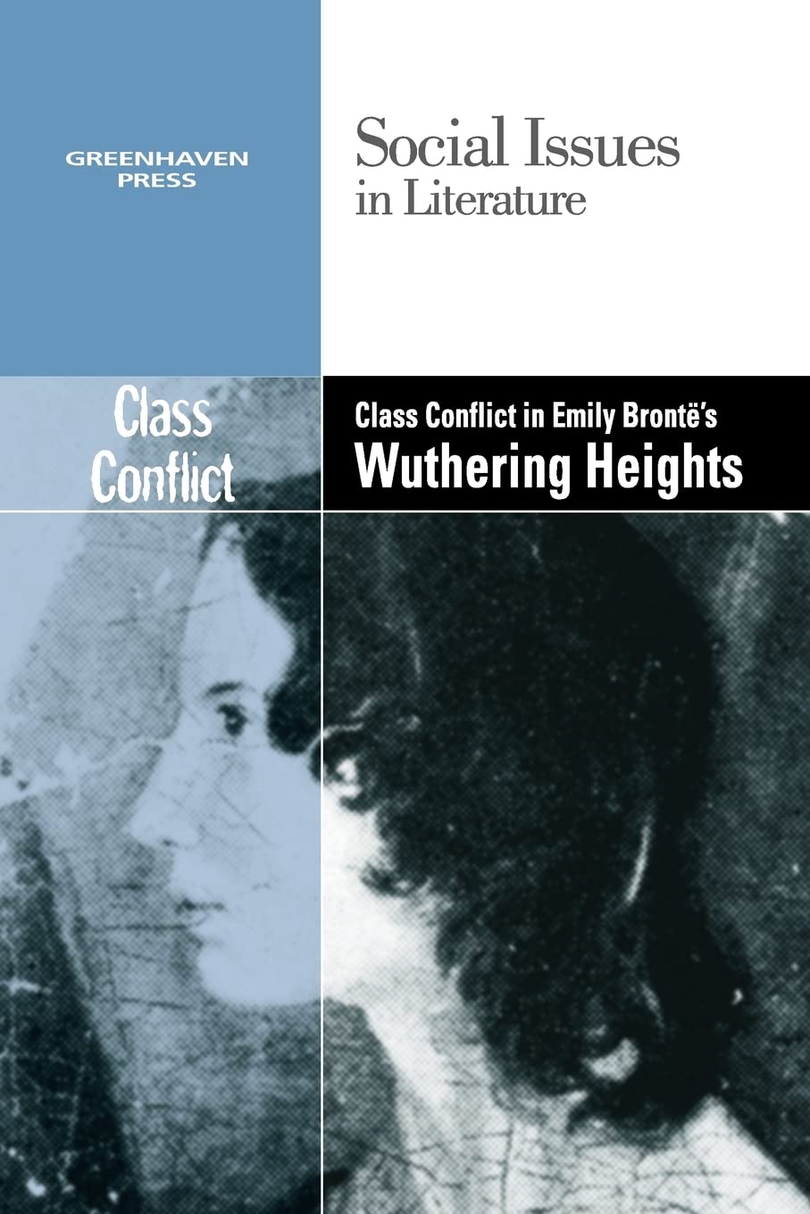 Class Conflict in Emily Bronte's Wuthering Heights (Social Issues in Literature) Education