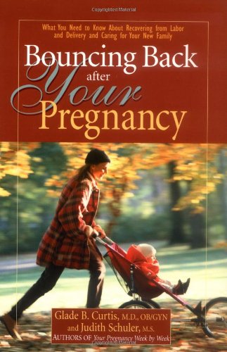 Bouncing Back After Your Pregnancy: What You Need To Know About Recovering From Labor And Delivery And Caring For Your New Family book