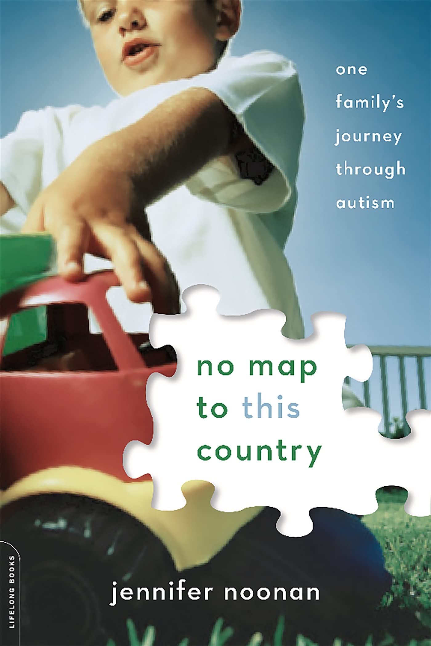 No Map to This Country: One Family's Journey through Autism Medicine
