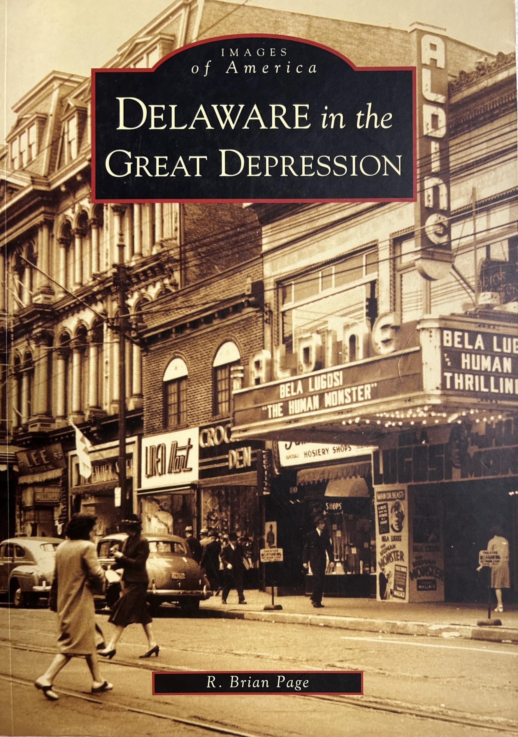 Delaware in the Great Depression (Images of America) Social Sciences