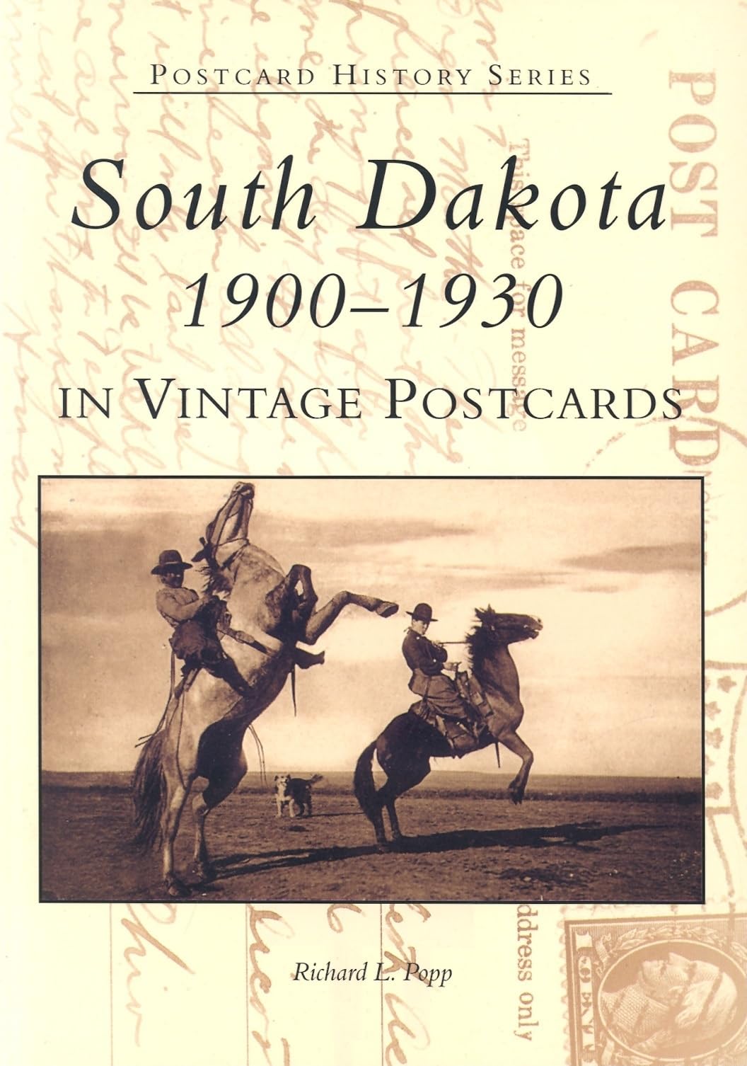 South Dakota in Vintage Postcards:: 1900-1930 (Postcard History Series) Social Sciences