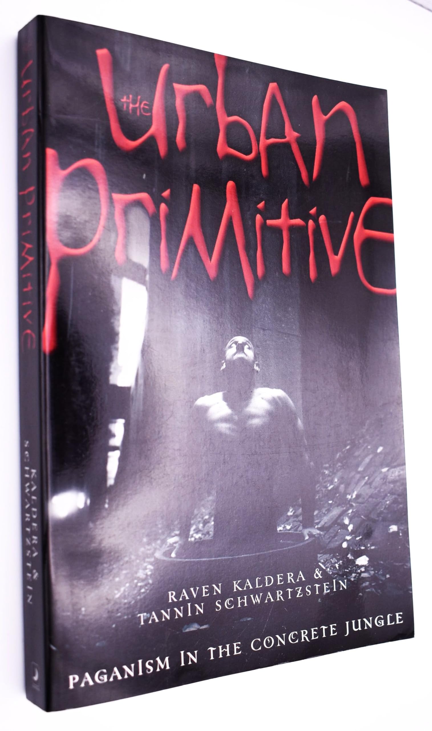 The Urban Primitive: Paganism in the Concrete Jungle Religion & Esotericism