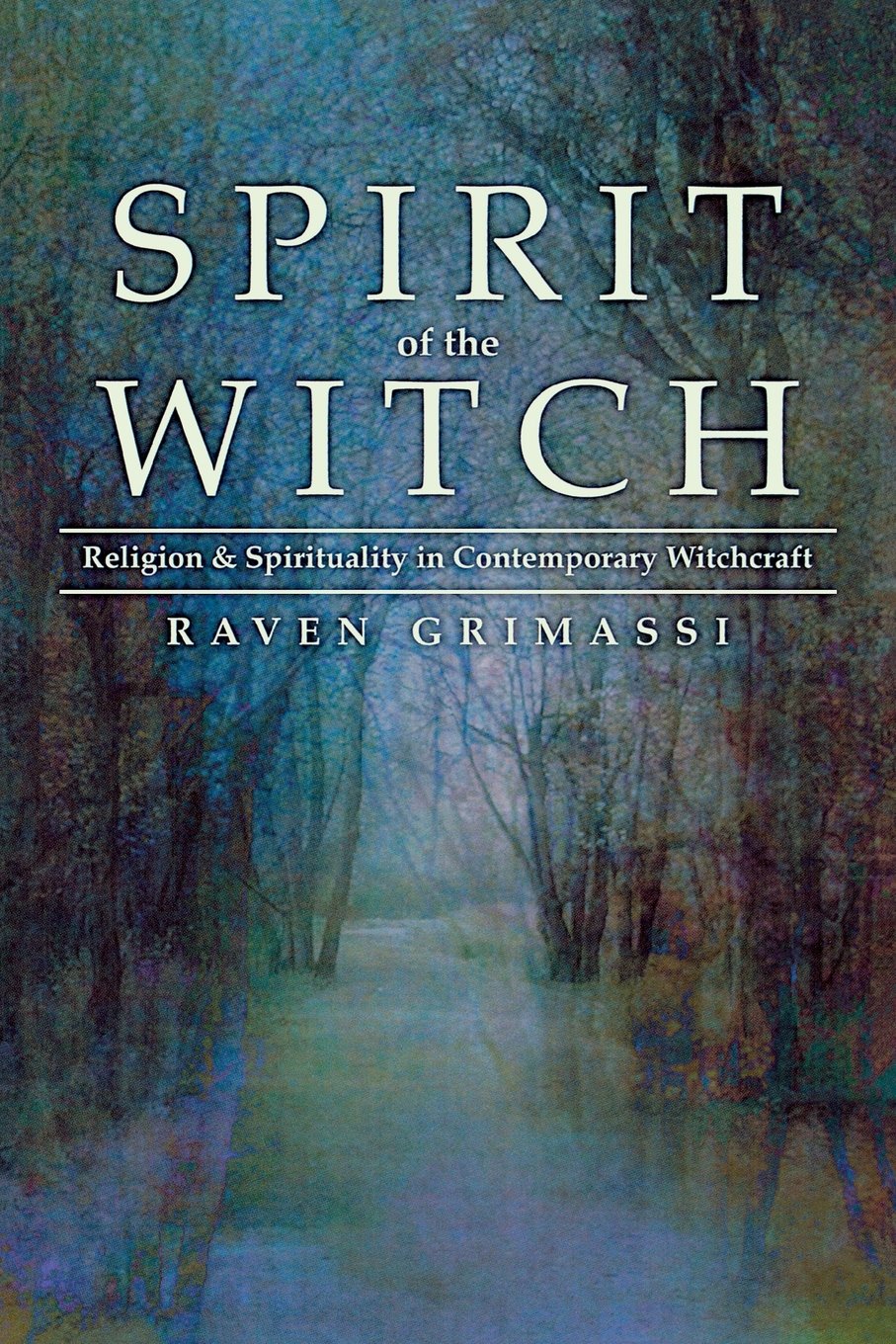 Spirit of the Witch: Religion & Spirituality in Contemporary Witchcraft book