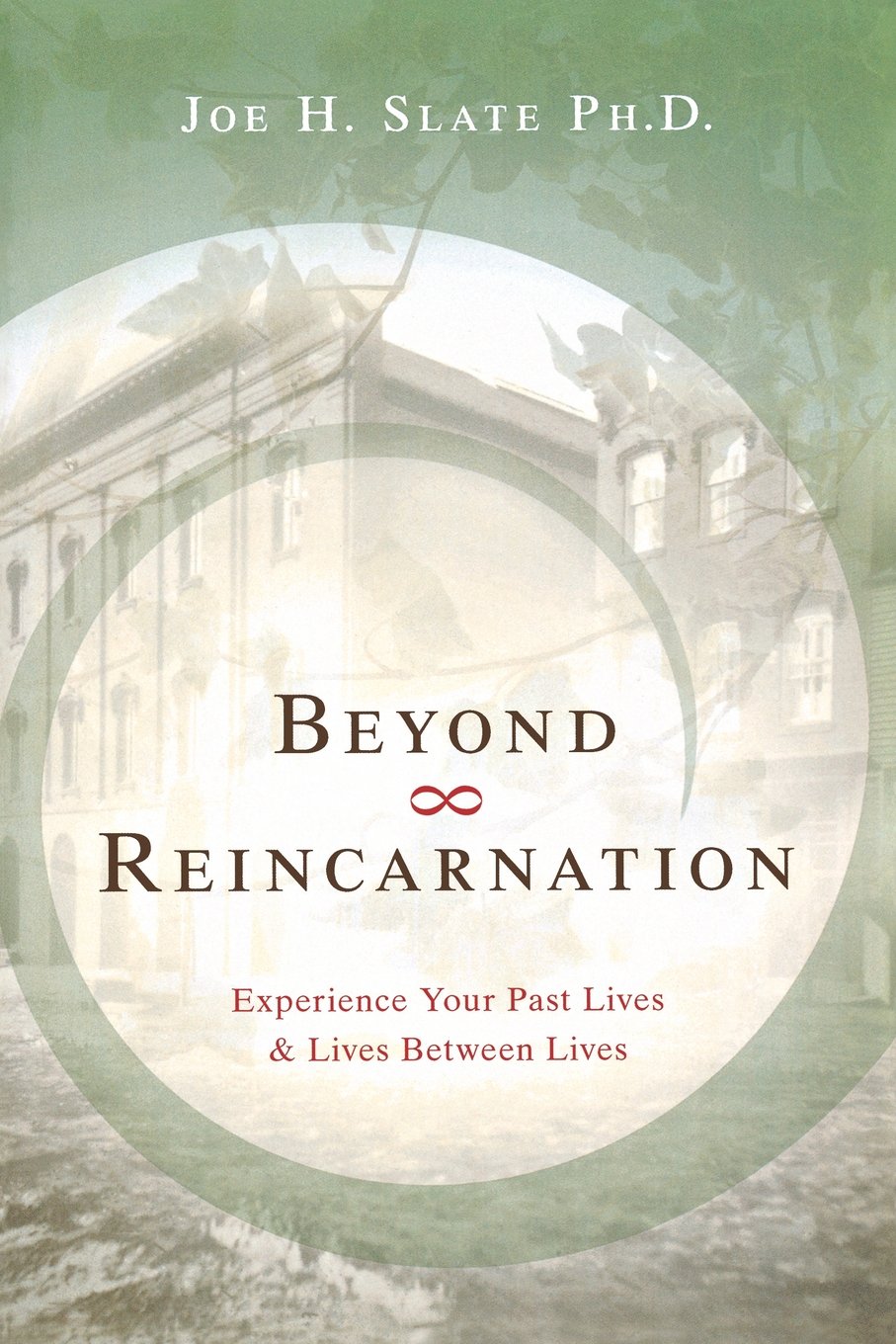 Beyond Reincarnation: Experience Your Past Lives & Lives Between Lives book