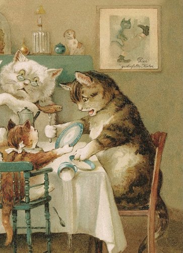 Cat Family / La Famiglia Dei Gatti Books
