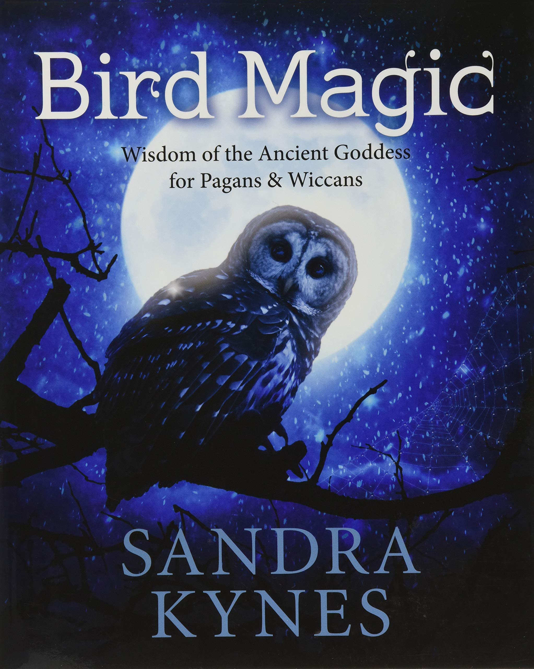 Bird Magic: Wisdom of the Ancient Goddess for Pagans & Wiccans book