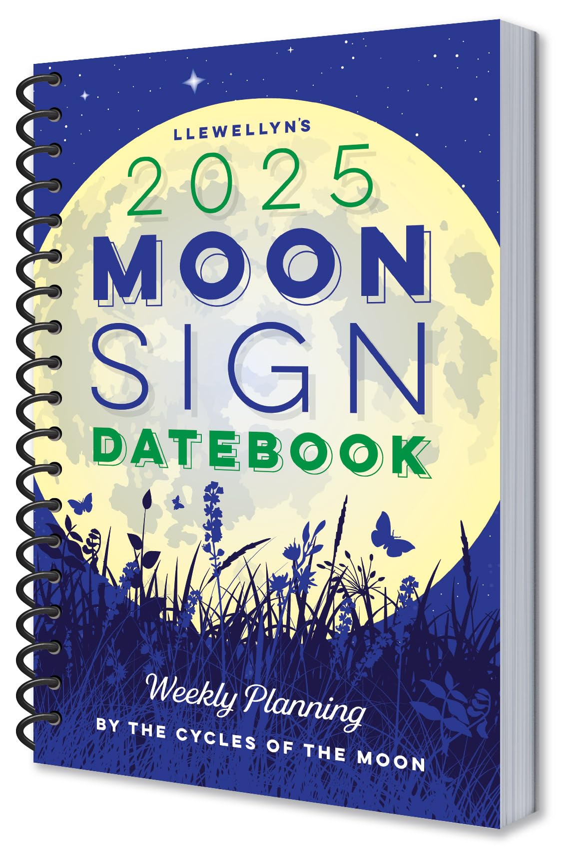 Llewellyn's 2025 Moon Sign Datebook: Weekly Planning by the Cycles of the Moon Reference Books