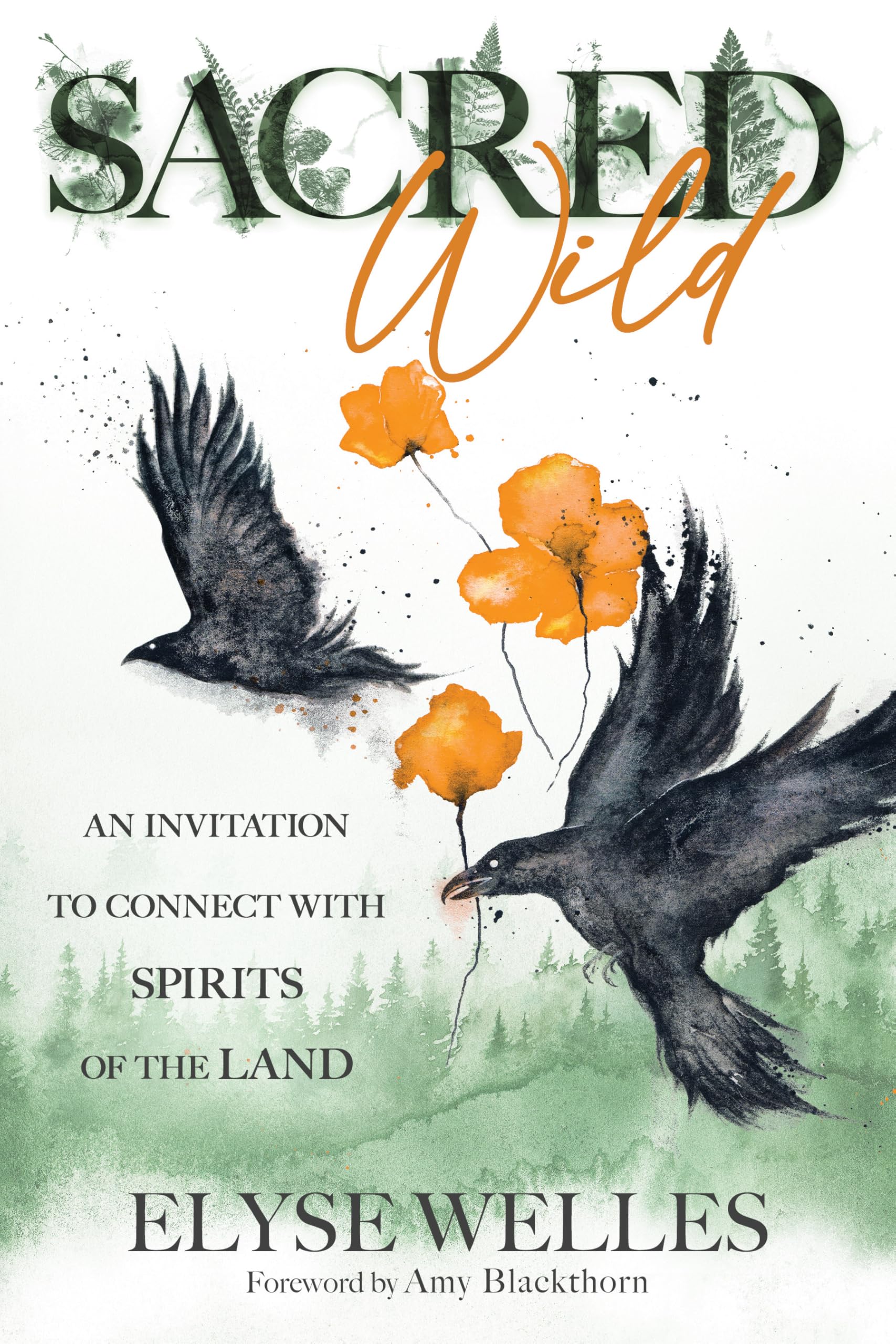 Sacred Wild: An Invitation to Connect with Spirits of the Land Religion & Esotericism