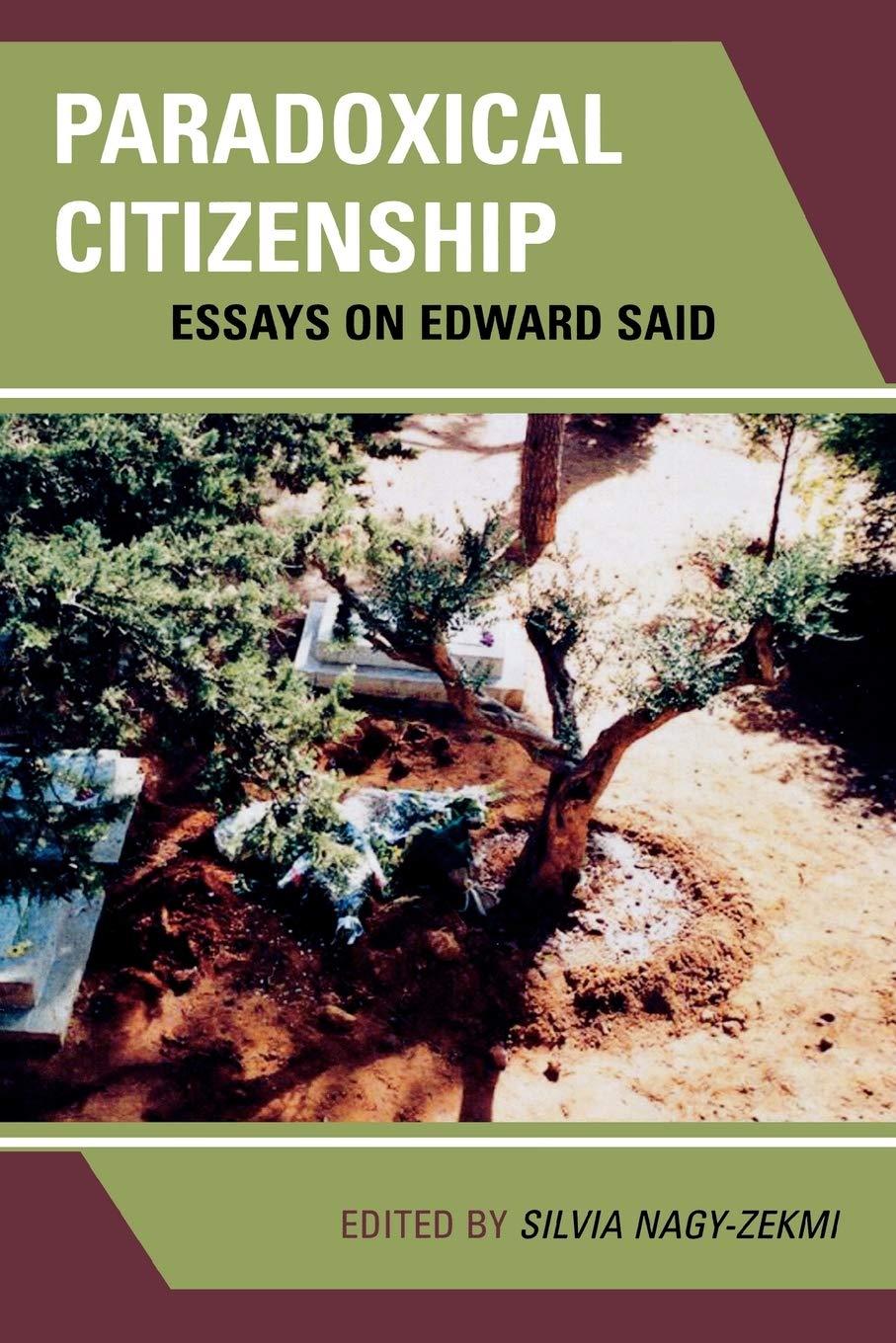 Paradoxical Citizenship: Essays on Edward Said Contemporary literature