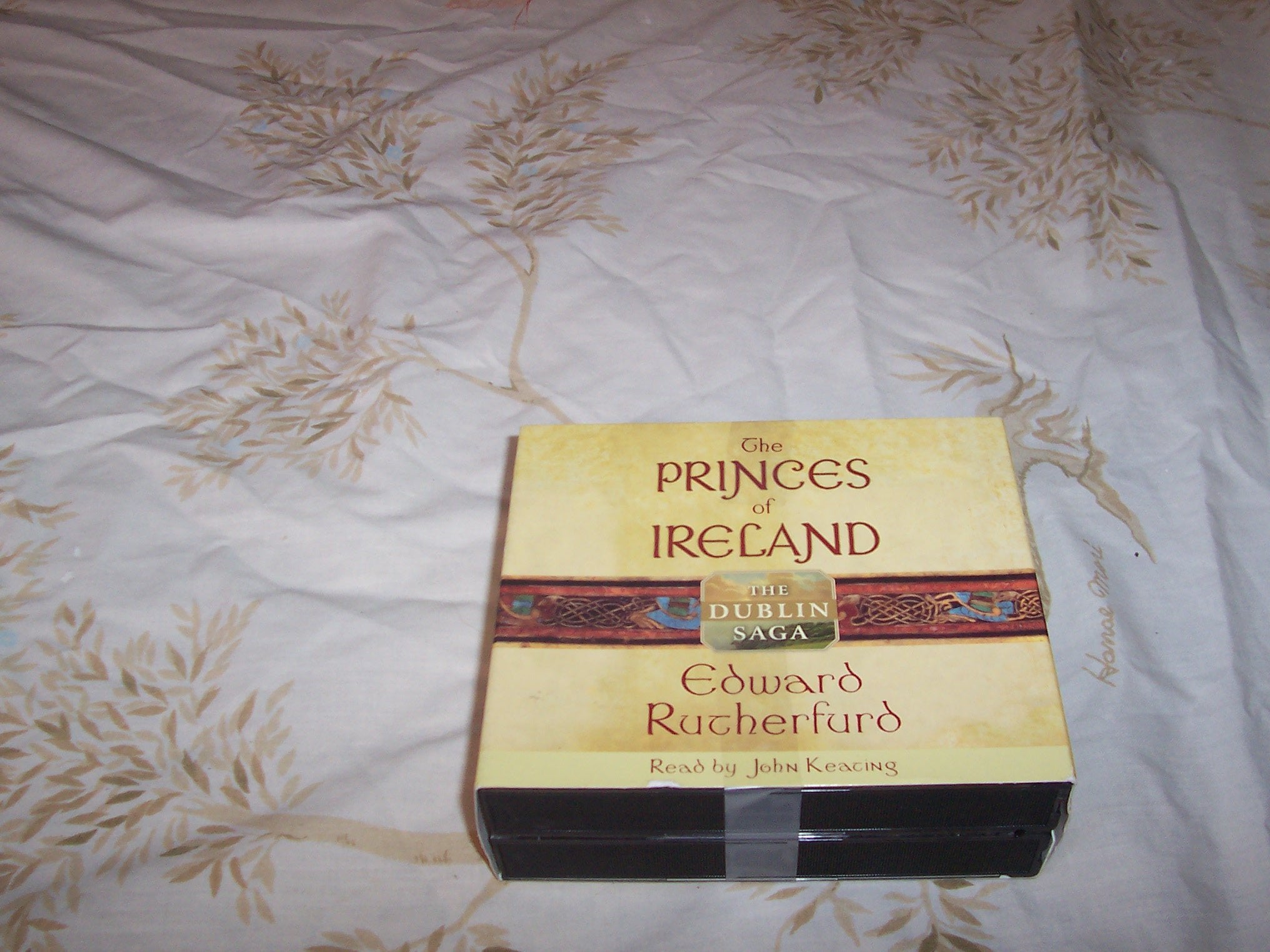 The Princes of Ireland: The Dublin Saga Politics & History