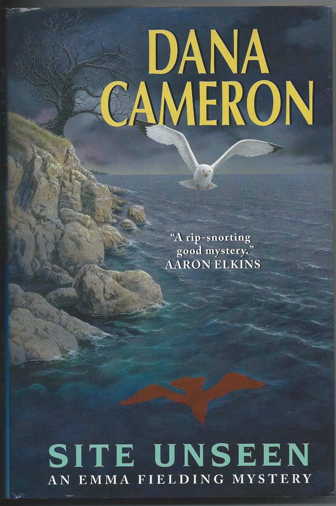 Site unseen (An Emma Fielding mystery) Detective & CSI