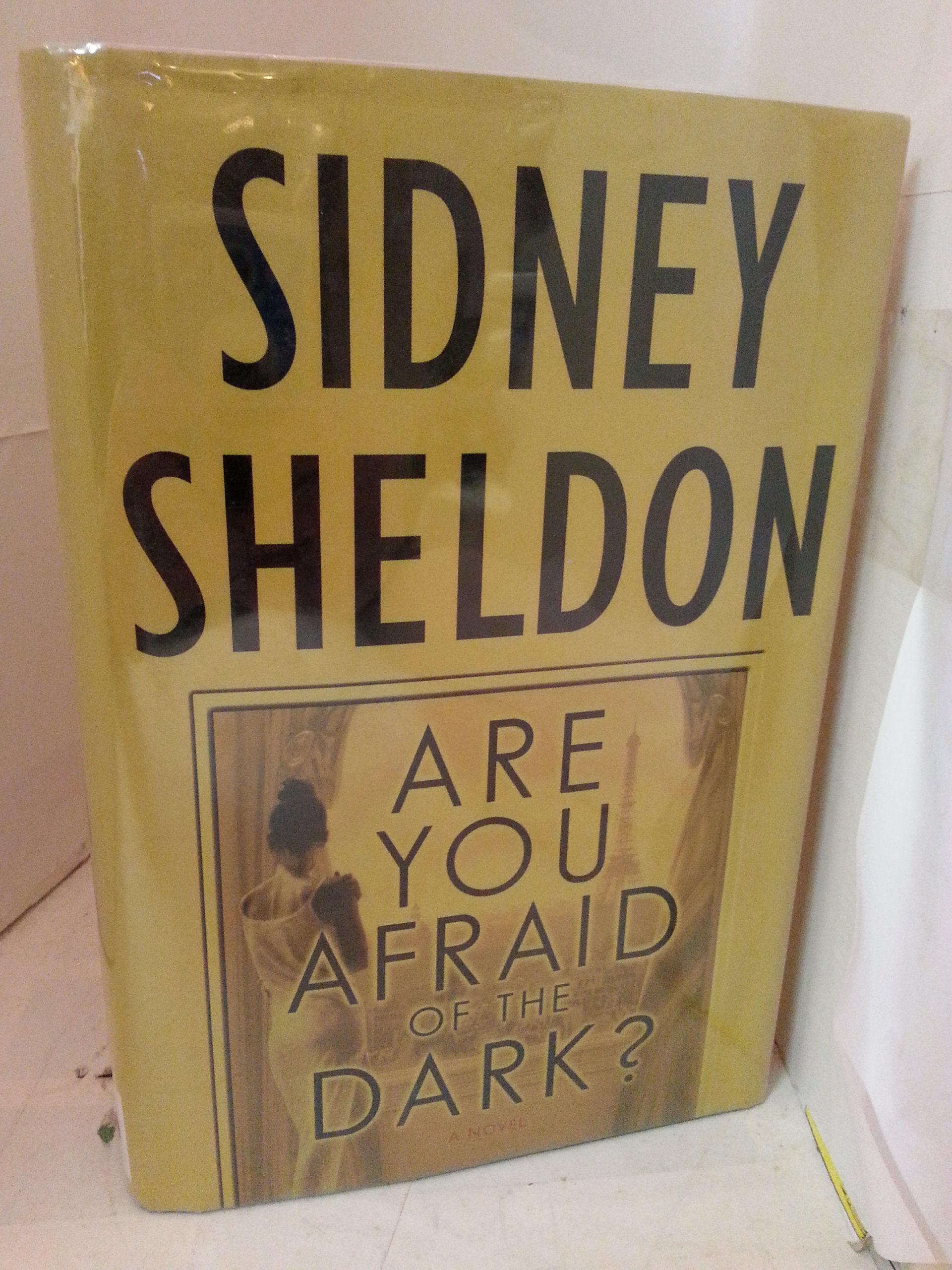 Are You Afraid of the Dark? : A Novel by Sidney Sheldon (2004-09-01) Books