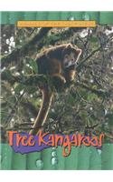 Tree Kangaroos (Animals of the Rain Forest) Non-fiction