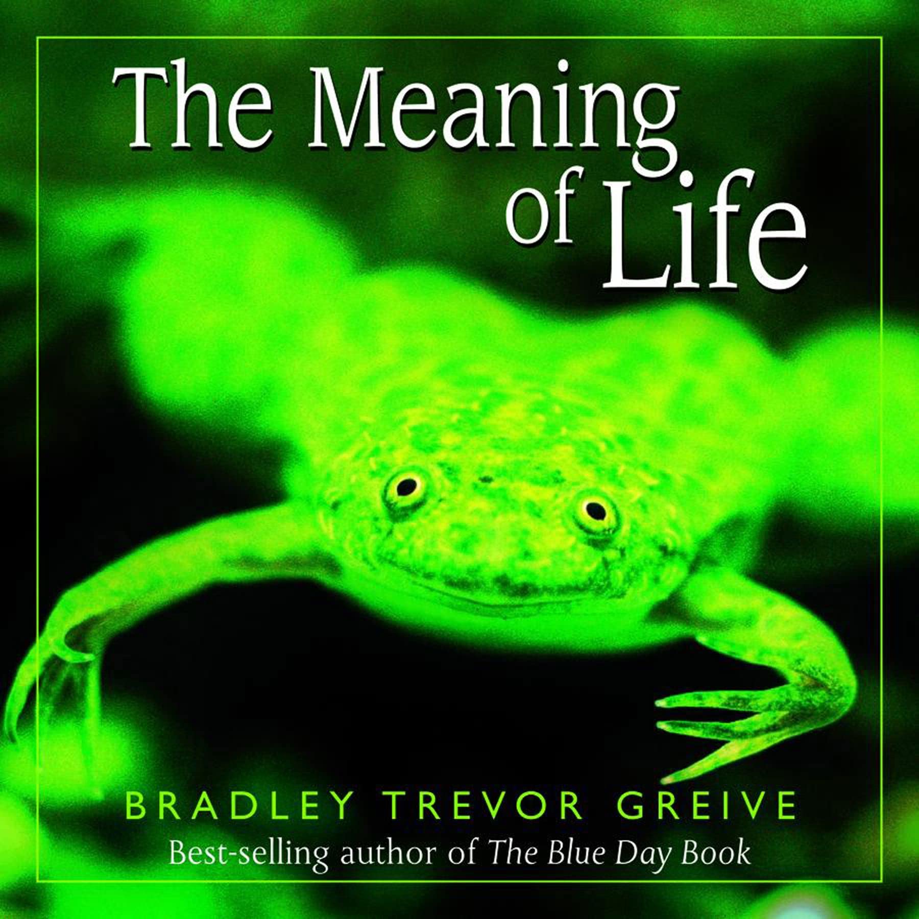 The Meaning of Life Photography