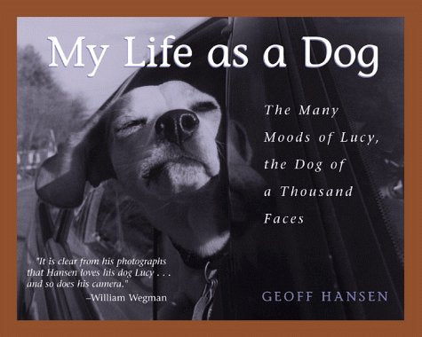 My Life As a Dog: The Many Moods of Lucy, the Dog of a Thousand Faces Photography