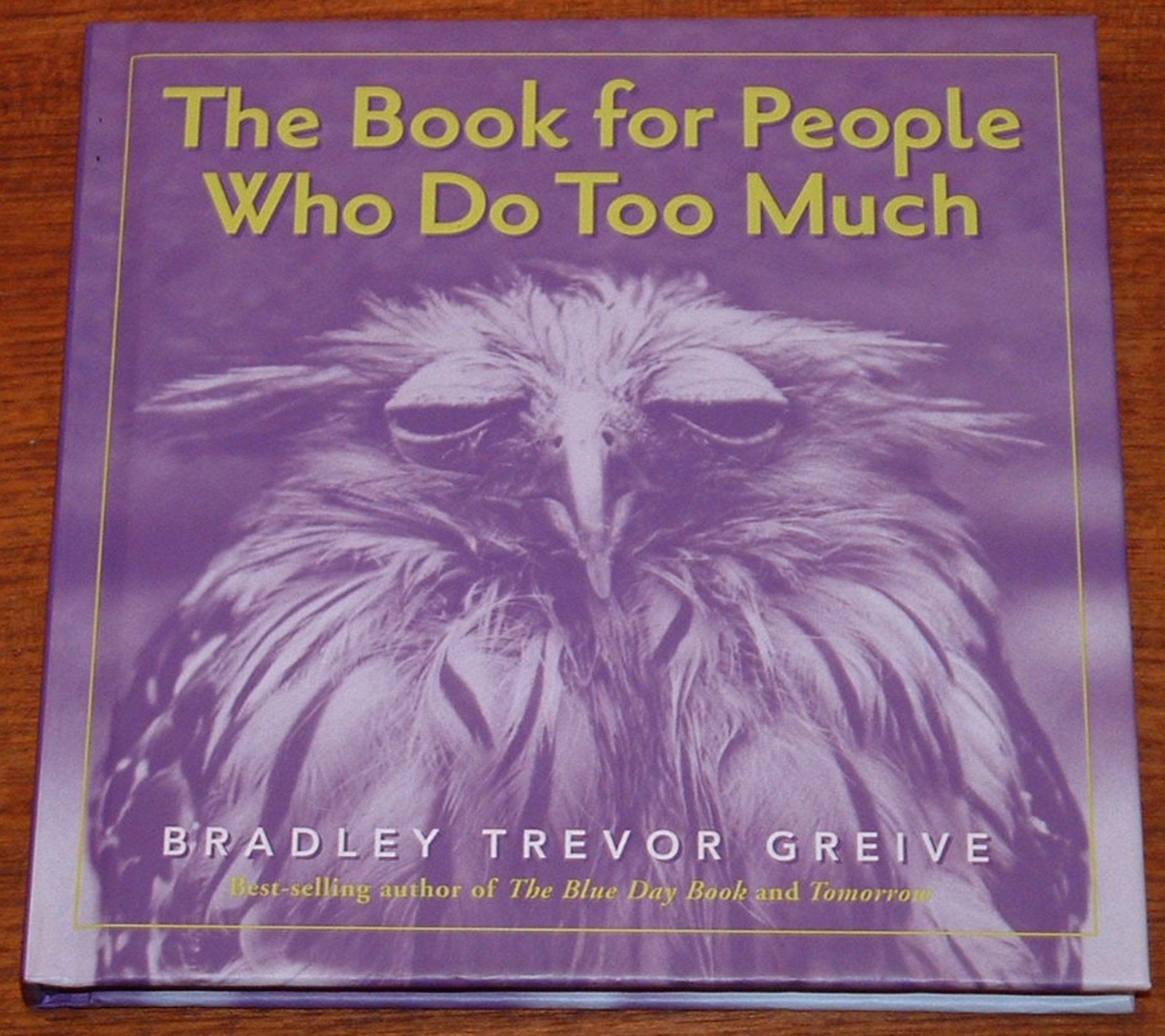 The Book for People Who Do Too Much Lifestyle