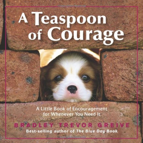 A Teaspoon of Courage: A Little Book of Encouragement for Whenever You Need It Business, Finance & Career