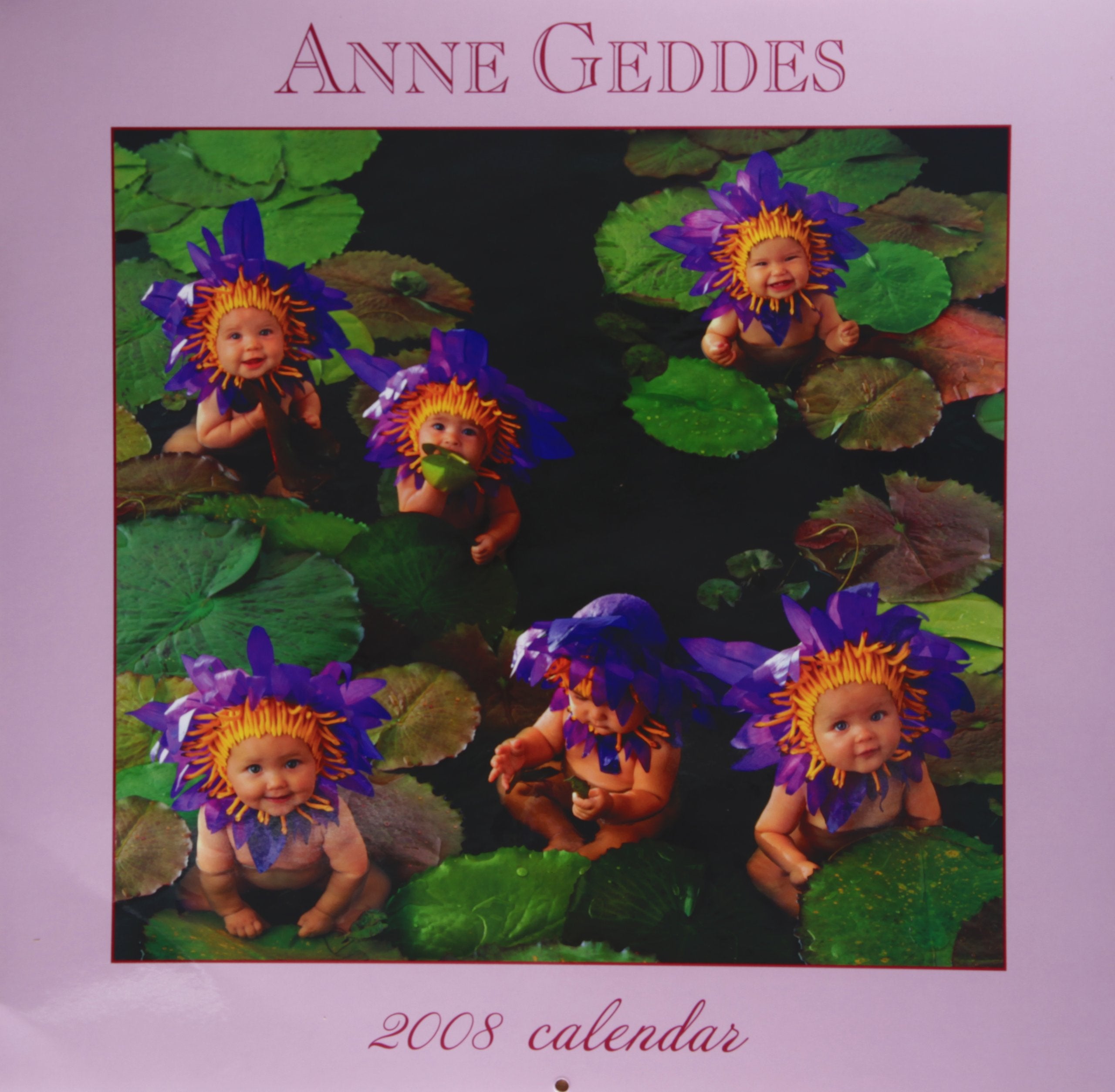 Anne Geddes 2008 Calendar: A Labour of Love Books