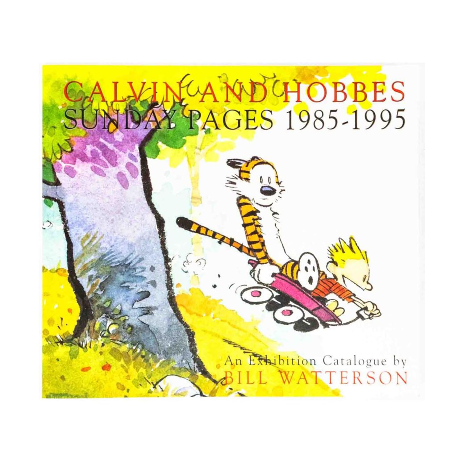 Calvin and Hobbes : Sunday Pages 1985-1995 Books