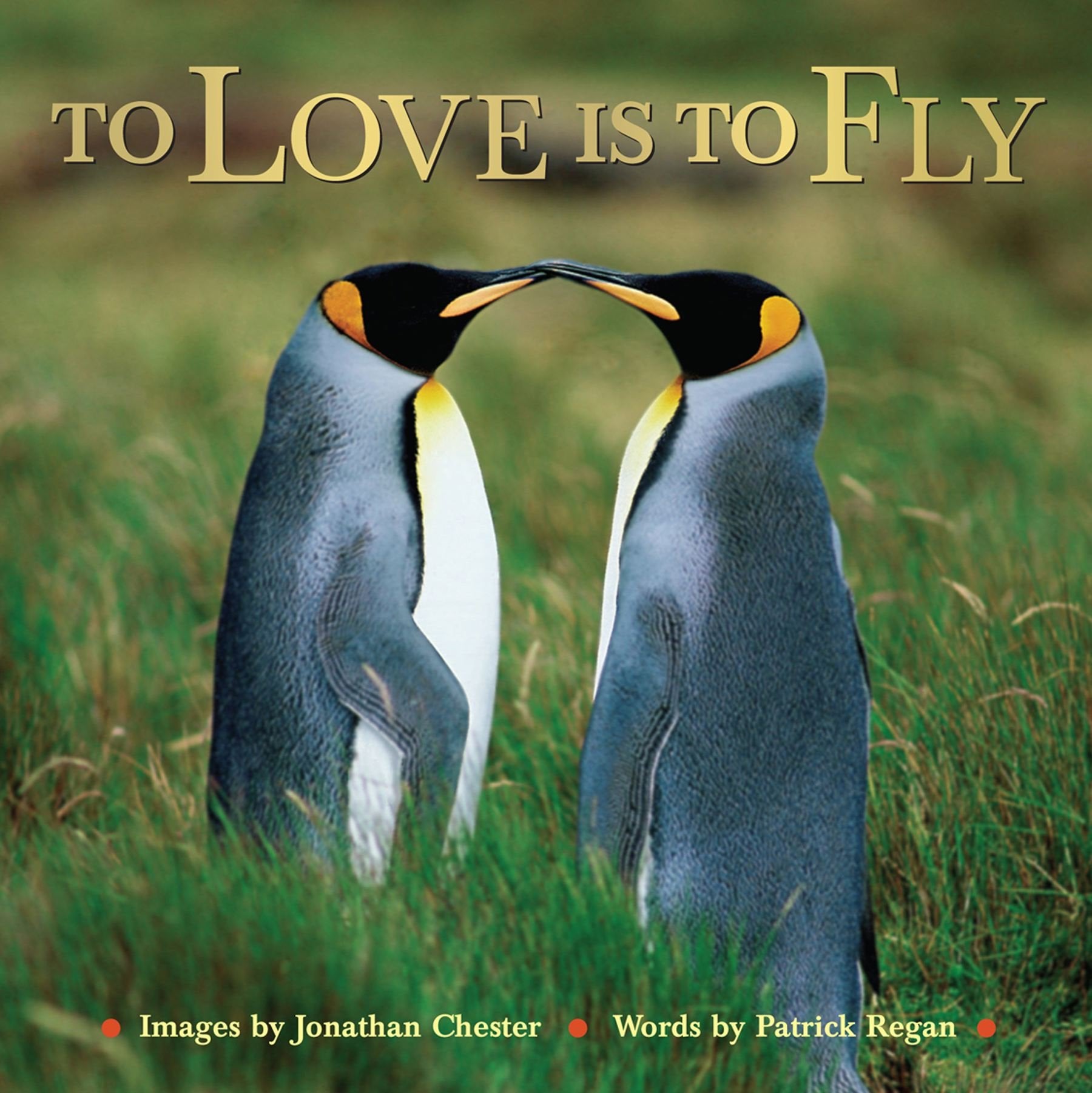 To Love Is to Fly (Extreme Images, Band 2) Business, Finance & Career