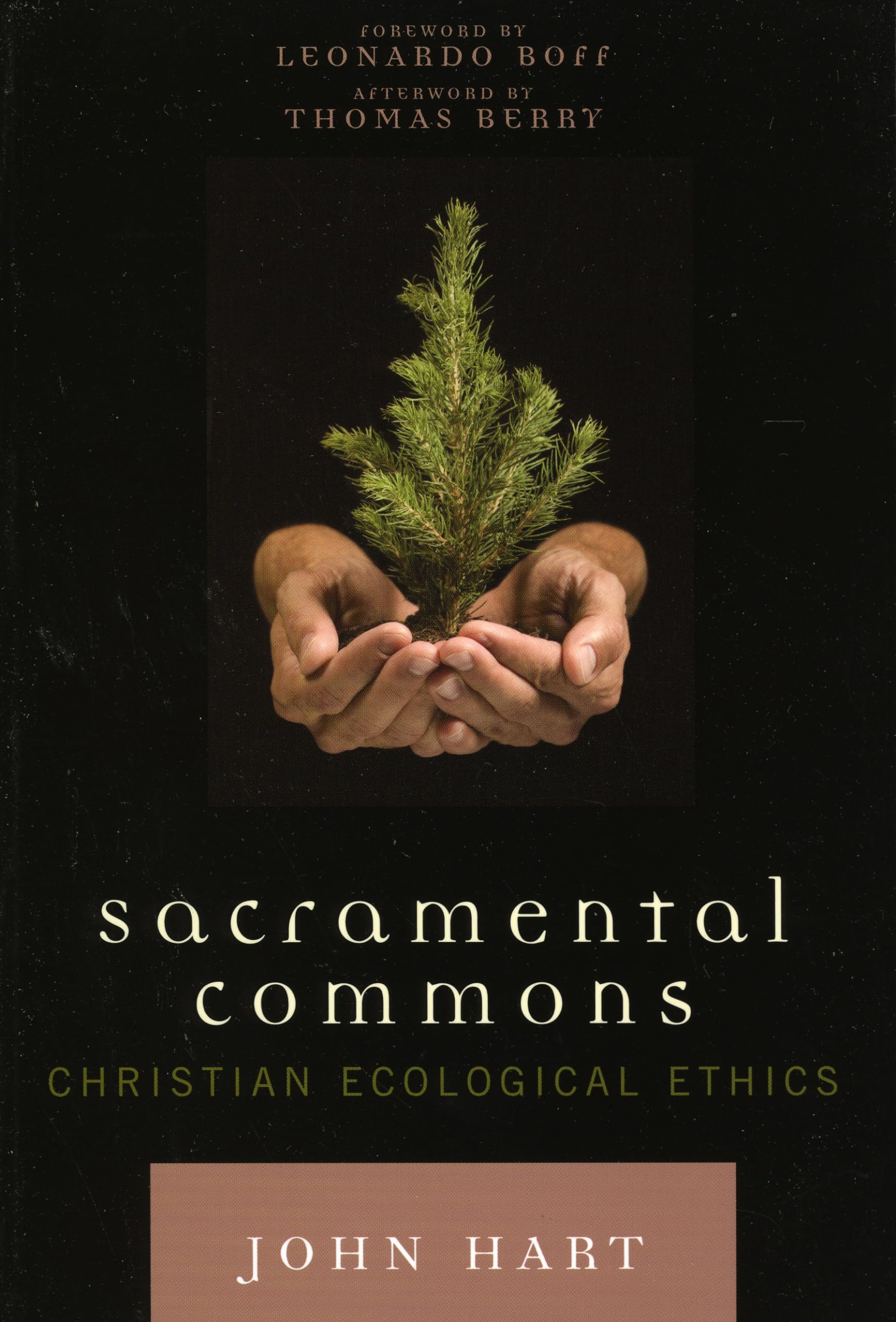 Sacramental Commons: Christian Ecological Ethics (Nature's Meaning) Mathematics