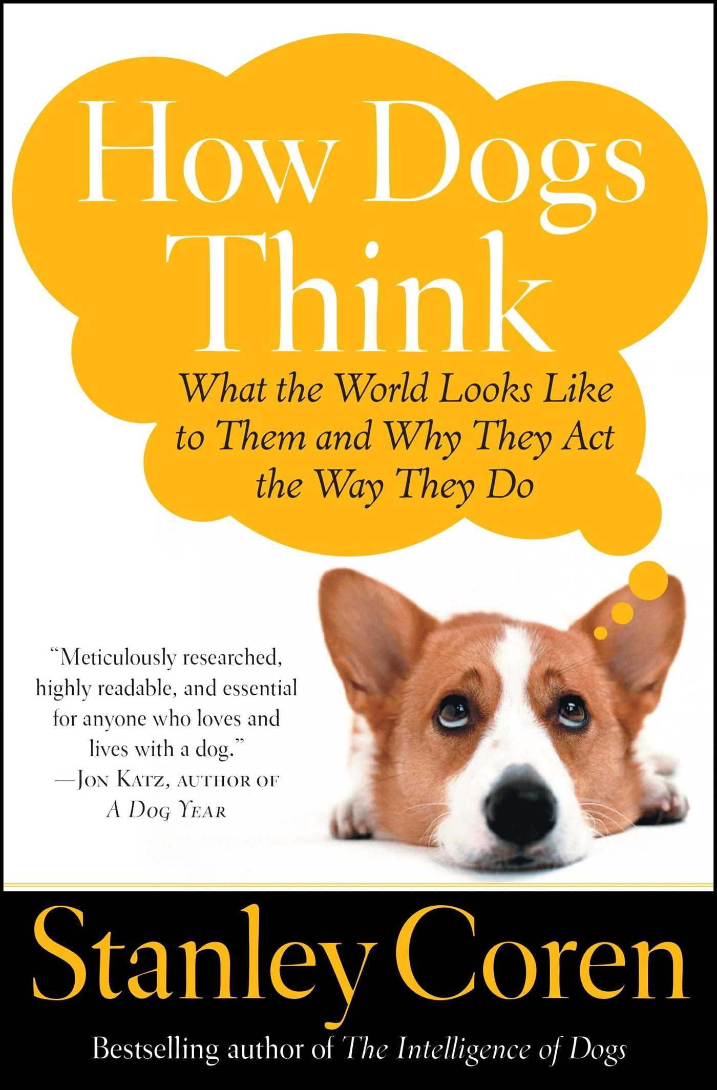 How Dogs Think Pets